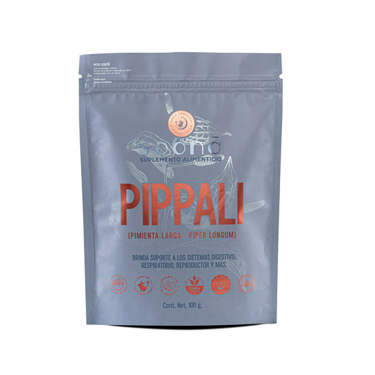 Pippali (Pimienta Larga) – Piper longum