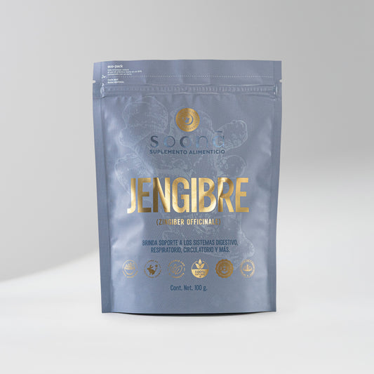 Jengibre (Zingiber officinale)